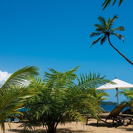 Club Santana Beach & Resort Eksteriør billede